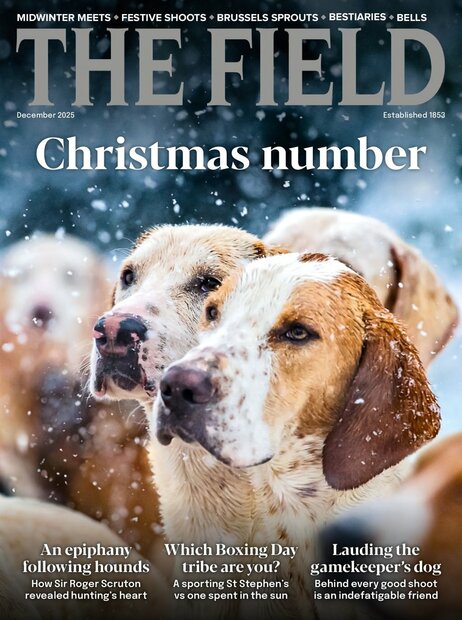 The Field Magazine