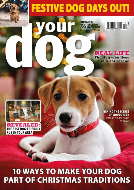 Your Dog Magazine