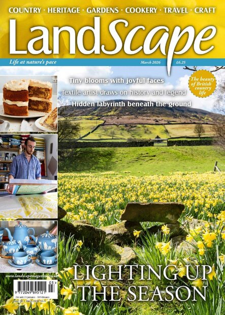 LandScape Magazine