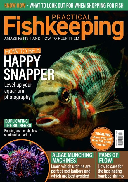 Practical Fishkeeping Magazine