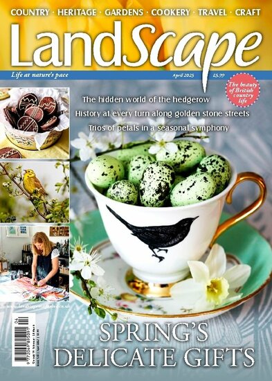 LandScape Magazine