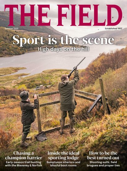 The Field Magazine