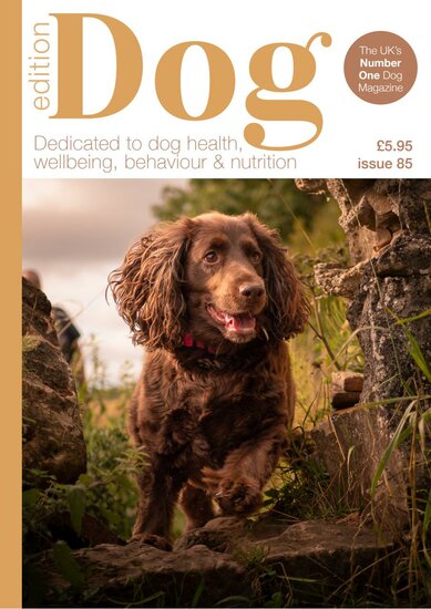 Edition Dog Magazine