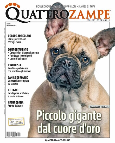 Quarter Horse Journal (Duits)