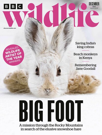 BBC Wildlife Magazine
