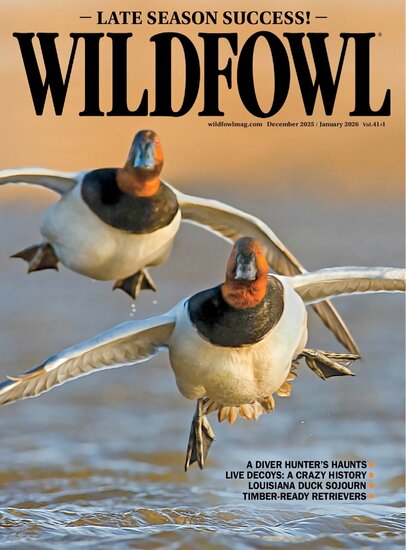 Wildfowl Magazine