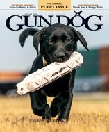 Gun Dog Magazine