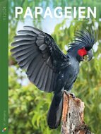 Papageien