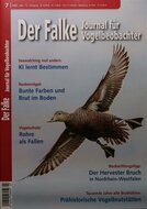 Falke (Deutsch)
