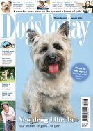 Dogs Today Magazine