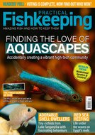 Practical Fishkeeping Magazine