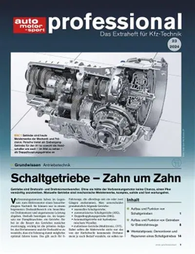 Auto Motor und Sport Professional (Saksa)