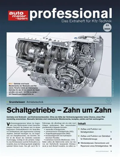Auto Motor und Sport Professional (Saksa)