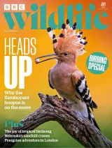 BBC Wildlife Magazine 1