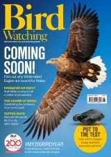 Bird Watching (UK) Magazine 1
