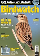 Birdwatch Magazine 1