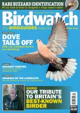 Birdwatch Magazine 1