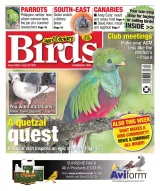 Cage & Aviary Birds Magazine 1