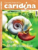 Caridina (Saksa) 1