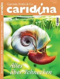 Caridina (Saksa)