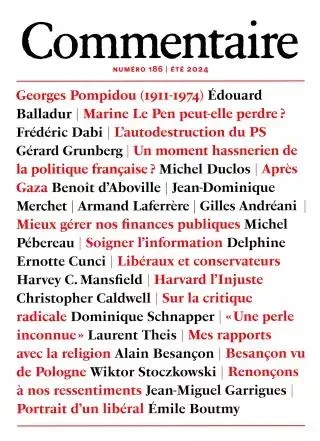 Commentaire (Ranska)