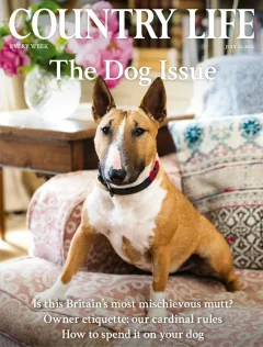 Country Life Magazine
