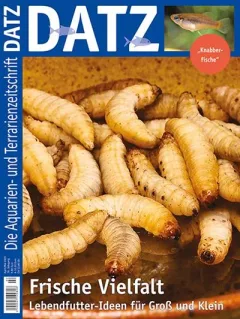 Datz (Saksa)