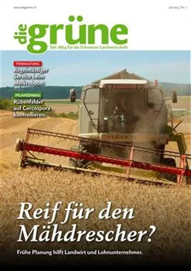 Die Grüne (Saksa)