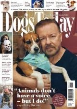 Dogs Today Magazine 1
