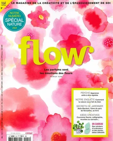 Flow (Ranska)