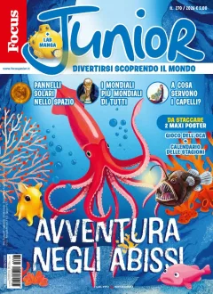 Focus Junior (Italia)