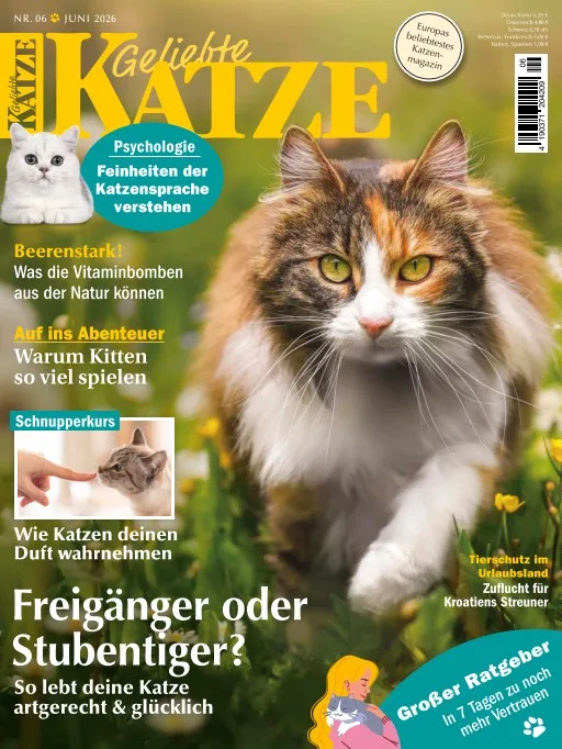 Geliebte Katze (Saksa)