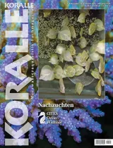 Koralle (Saksa) 1