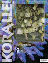 Koralle (Saksa) 1