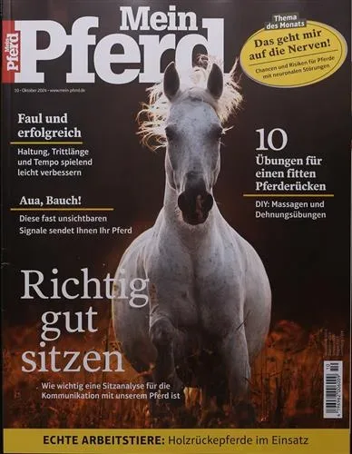 Mein Pferd (Saksa)