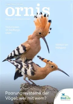 Ornis (Saksa)