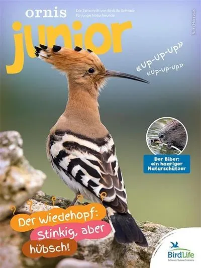 Ornis Junior (Saksa)