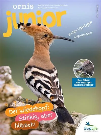 Ornis Junior (Saksa)