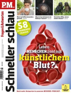 P.M. Schneller schlau (Saksa)