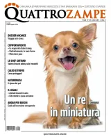 Quattro Zampe (Italia) 1