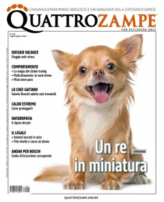 Quattro Zampe (Italia)