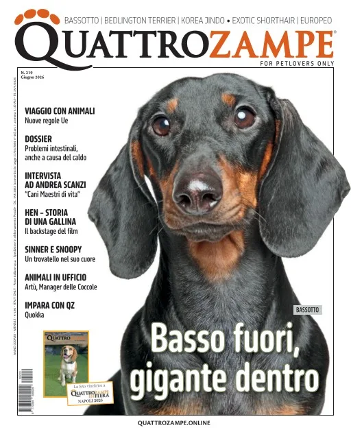 Quattro Zampe (Italia)