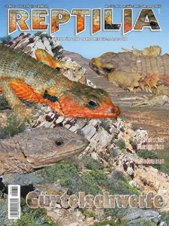 Reptilia (Saksa)