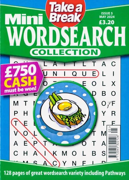 Take a Break Mini Wordsearch Collection Magazine