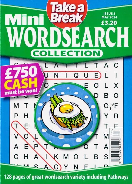 Take a Break Mini Wordsearch Collection Magazine