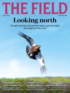 The Field Magazine