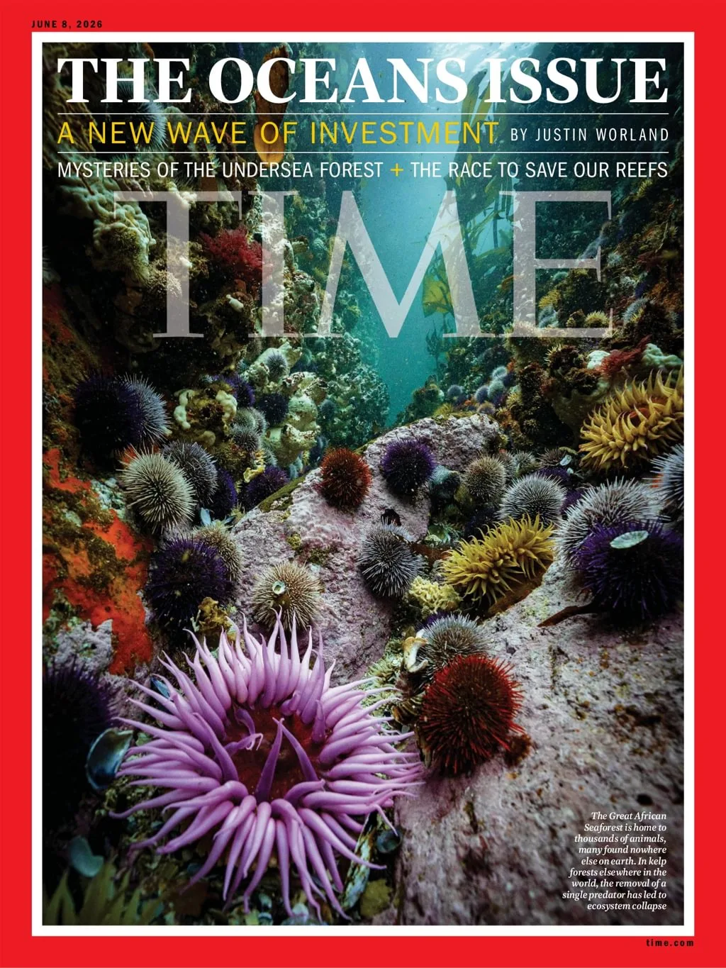 TIME Magazine (Eurooppalainen painos)