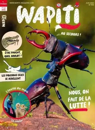 Wapiti (Ranska)