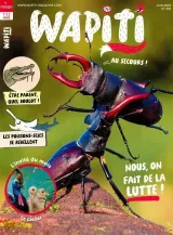 Wapiti (Ranska) 1