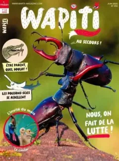Wapiti (Ranska)